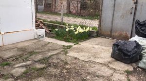 Видосики за три рабочих дня