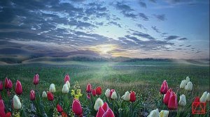 БЛАЖЕННАГО АВВЫ ЗОСИМЫ СОБЕСЕДОВАНИЯ ч10