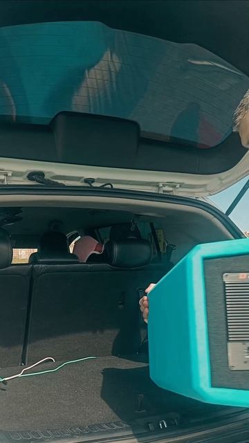 Как за 2 секунды отключить сабвуфер? Raven Power Cable Splitter от DL Audio.