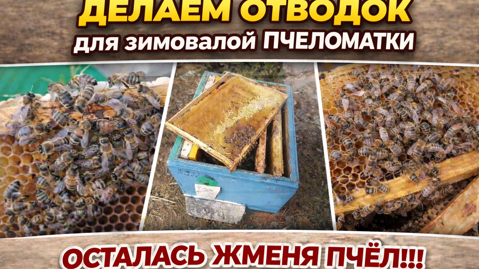 Делаем отводок для зимовалой пчеломатки. Осталась жменя пчёл!!!