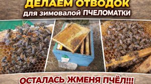 Делаем отводок для зимовалой пчеломатки. Осталась жменя пчёл!!!