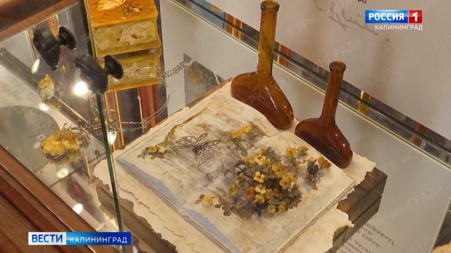 На выставке «Лучей чудесных аромат» побывала съемочная группа Вести - Калининград