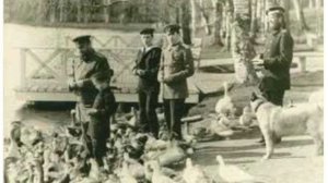 11 Александр III в Гатчине [get.gt]