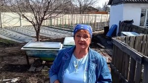 Вести со двора...убираю , сажаю... помидоры пошли...