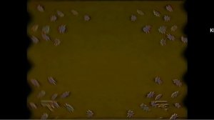 Not Scary Спокойной ночи малыши in G Major 4