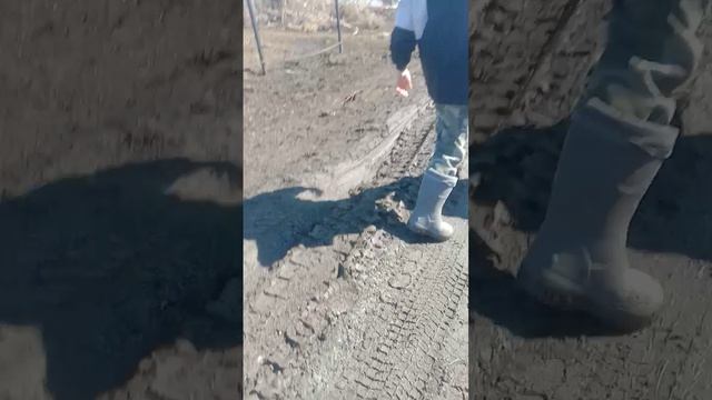 это мы на улице прогуливаемся после школы на выходных