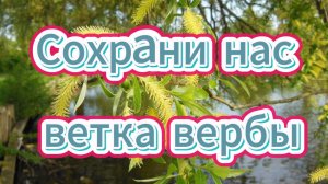 Сохрани нас ветка вербы...Песня - Молитва ///// Воскресенье Вербное
