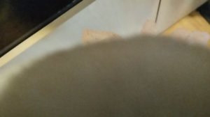 день рождения Лили / а также маленькая квест игра