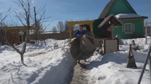 6 соток 23 марта 2026 года. Хроника. Убираюсь в старом домике под радио Вера.