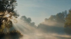 Летним утром.