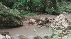 Мои скитания. Адыгея.Водопады Руфабго