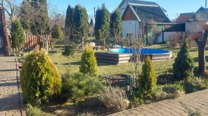 Апрель настал🌞.Скоро на даче  все заиграет яркими красками🪻🌱