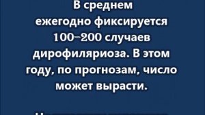 Комары стали чаще переносить опасных червей, которые живут в глазах и лёгких