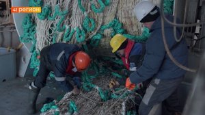 БОЛЬШЕ 850 ТЫСЯЧ ТОНН МИНТАЯ ДОБЫЛИ РЫБАКИ НА ДАЛЬНЕМ ВОСТОКЕ • НОВОСТИ КАМЧАТКИ