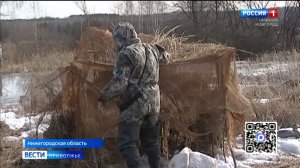 В Нижегородской области открыт сезон охоты на пернатую дичь