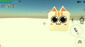 все коты которых я знаю