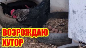 Земля надежно удерживает мои мечты - я воздвиг парник, воплощая хутор в реальность