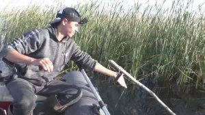 Оставили жерлицы в камышах. И клюнул Монстр! Трофейная рыбалка осенью.