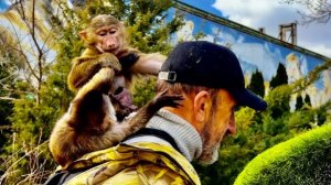 Финик наконец-то НАУЧИЛСЯ ДАВАТЬ ОТПОР Анфисе! Он прекрасно защищается, используя ЗАДНИЕ ЛАПЫ❤️