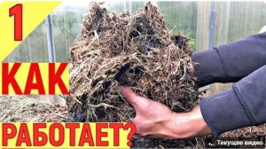 ГОРЯЧАЯ ТРАВА - АКТИВНАЯ МУЛЬЧА.