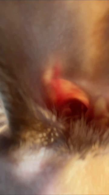 Иследуем …