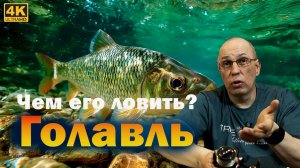 Снасти на голавля. Спиннинг, Катушка, Плетёнка, Приманки