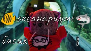 Басик в океанариуме💙🦈🌊
ВЛОГ