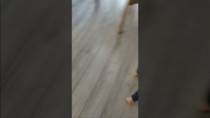 Поставьте лайк ради хасечков