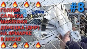 🔥🕊🔥 Голуби Сальска, Макеевки, Донецка на ярмарке в Аксае. Птичий рынок. Часть 8.
