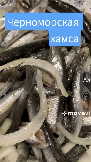 Ежедневная еда крымчан . Хамса малосольная ( анчоус)