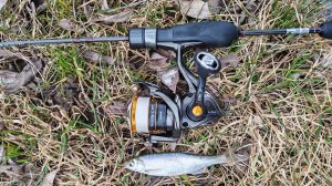 МОРМЫШИНГ. Водоем в шаговой доступности 28 марта 2026 года