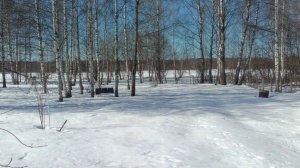 Забрали хвостов и ..... убежали из города в дом на ножках😂