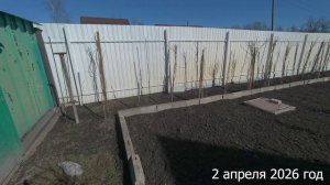 7 соток.  Уставшая, но счастливая. Хроника 2 апреля 2026 год