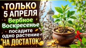 Только один день в году: посадите растение 5 апреля - достаток войдёт в дом через порог. Приметы