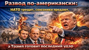 НАТО рухнуло публично: Европа кинула США, Трамп в бешенстве, а либералы рыдают. Что дальше?