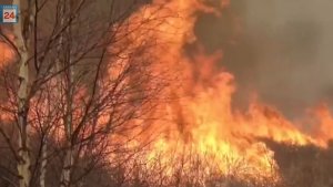 С 4 апреля в Хакасии вводится особый противопожарный режим