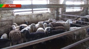 "Новости Лениногорска" от 02.04.2026