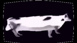 танец польской коровы новая версия