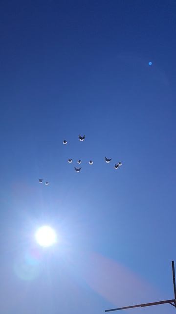 Саратов 2026г