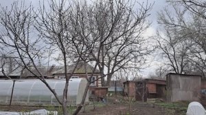 огородные дела