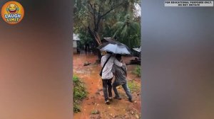 Подборка смешных фейлов и мемов 2026