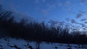 Отличная тяга 30.03.26, но без трофея;(((