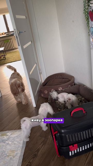 Согласны?❤️✨