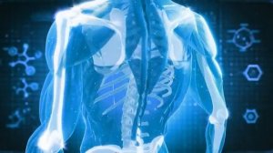 Матрица ГАРЯЕВА. Опорно-двигательный аппарат.Источник видео : канал  Soft _Radio на YouTube.