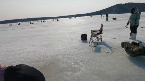 Рыбалка на корюшку / закрытие сезона / 31 марта 2026 года