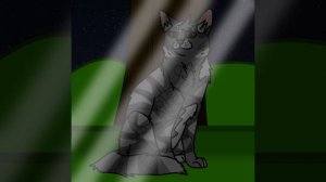 Пою кавер на песню белая ночь