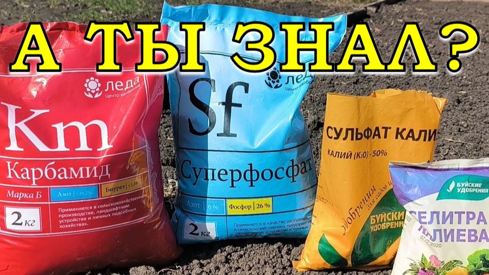 Весенняя подкормка огорода: ПРАВИЛЬНЫЕ УДОБРЕНИЯ