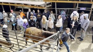 Поездка в Пятигорск (день третий) Кисловодск, медовые водопады