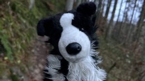 новый корм для Окси чтоооооо?!!!? ( уборка в моей комнате под музычку ☺!)