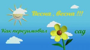 Прогулка по садику. Обзор ,что осталось после посещения лесных друзей.